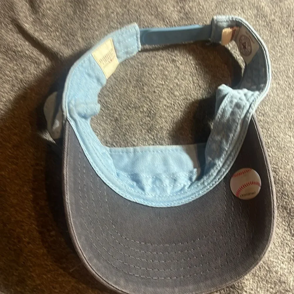 Tampa Bay rays visor